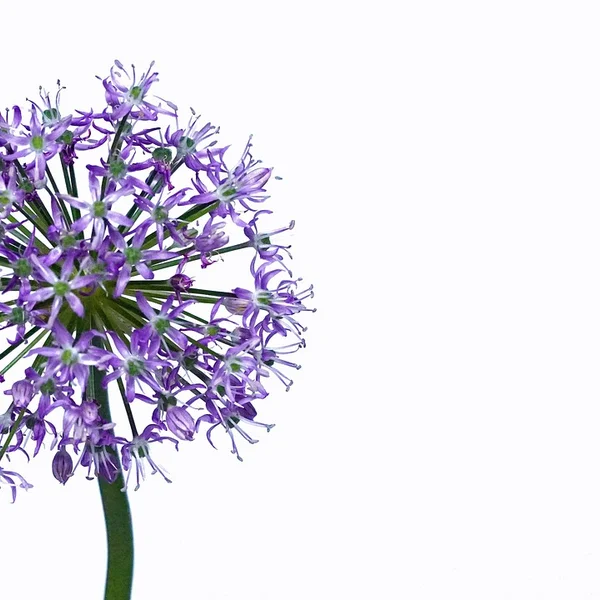 博彩网站捕鱼游戏